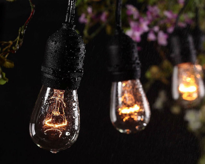 LED Edison Bulbs